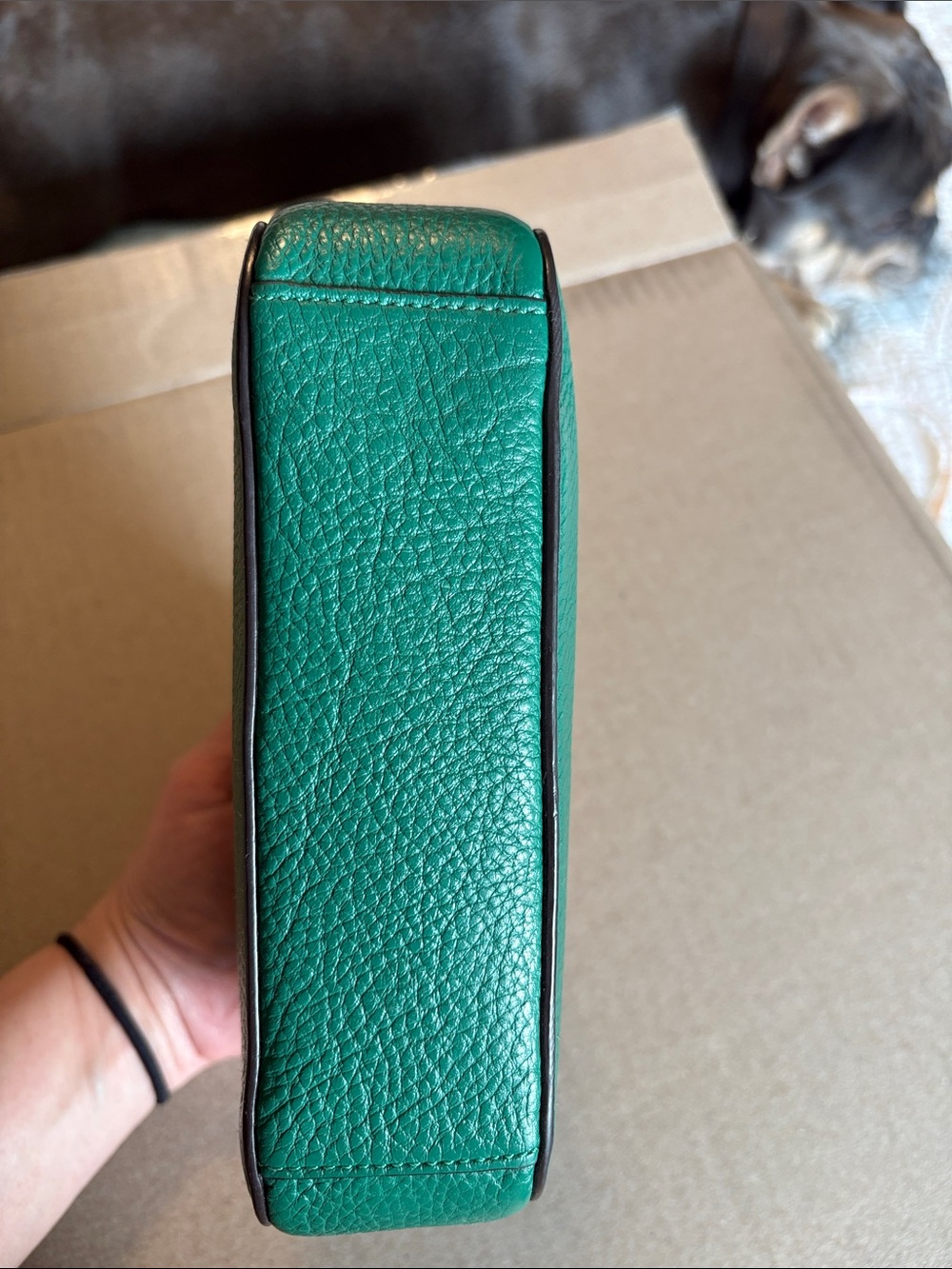 Gently PreLoved Coach Camera Crossbody Bag. - Picture 7 of 13